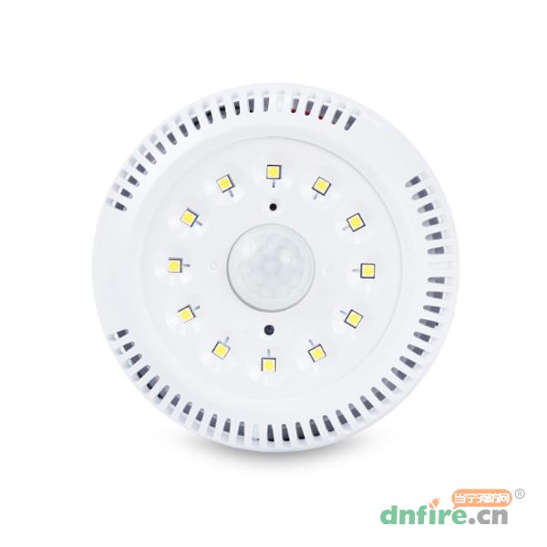 GD-ZFJC-E5W-622X5集中電源集中控制型消防應(yīng)急照明燈具