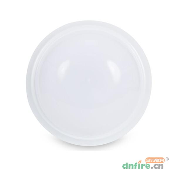 GD-ZFJC-E9W-613X9集中電源集中控制型消防應(yīng)急照明燈具