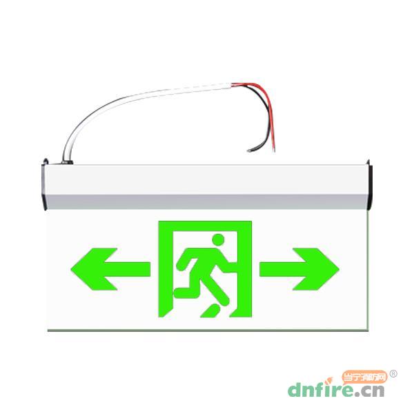 GD-BLJC-2LREⅠ1W-455D集中電源集中控制型消防應(yīng)急標(biāo)志燈具 吊裝雙面雙向