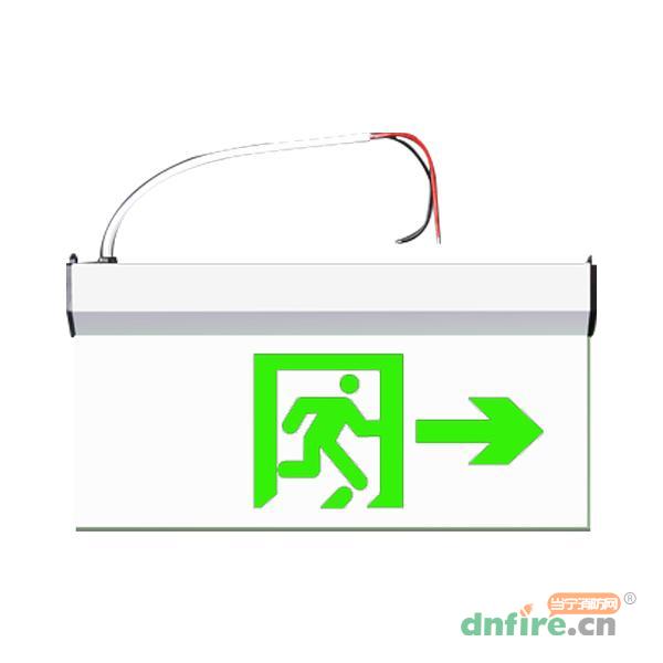 GD-BLJC-2LREⅠ1W-456D集中電源集中控制型消防應(yīng)急標(biāo)志燈具 吊裝雙面單向