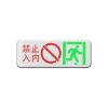 HK-BLJC-1OEⅡ2W-6118集中電源集中控制型消防應(yīng)急標(biāo)志燈具,?？低?消防應(yīng)急疏散指示燈