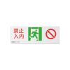 DH-BLJC-1LROEⅡ1W-CB3集中電源集中控制型消防應(yīng)急標志燈具,大華,消防應(yīng)急疏散指示燈