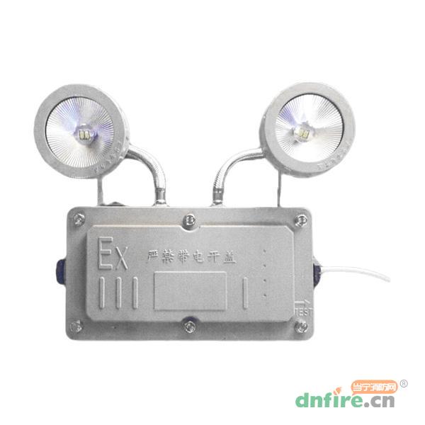Z-ZFZC-E2W-2122自電集控照明燈防爆雙頭燈（壁掛）,樂(lè)工光電,消防應(yīng)急照明燈