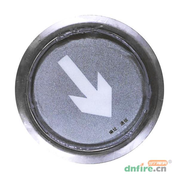 N-BLJC-1REⅠ0.25WZGS集中電源集中控制型消防應(yīng)急標(biāo)志燈具 地埋燈,拿斯特,消防應(yīng)急疏散指示燈