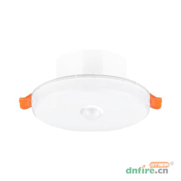 N-ZFJC-E6W8169集中電源集中控制型消防應(yīng)急照明燈具 5寸