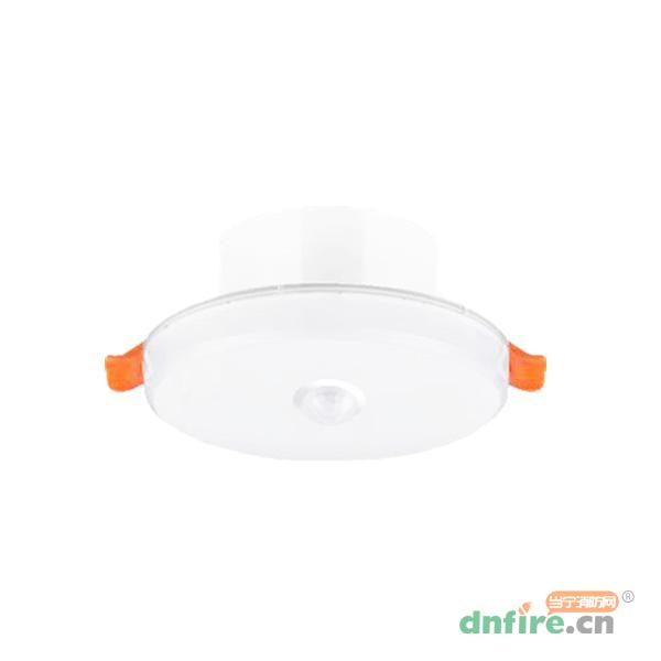 N-ZFJC-E1.5W8188集中電源集中控制型消防應(yīng)急照明燈具 2.5寸,拿斯特,消防應(yīng)急照明燈