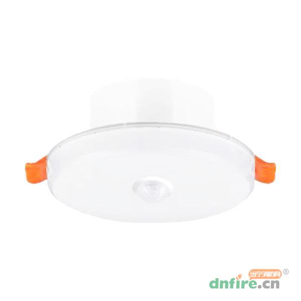 N-ZFJC-E8.1W8168集中電源集中控制型消防應(yīng)急照明燈具 6寸