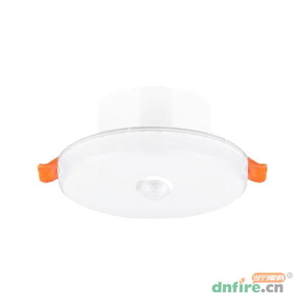 N-ZFJC-E4.5W8172集中電源集中控制型消防應(yīng)急照明燈具 4寸,拿斯特,消防應(yīng)急照明燈