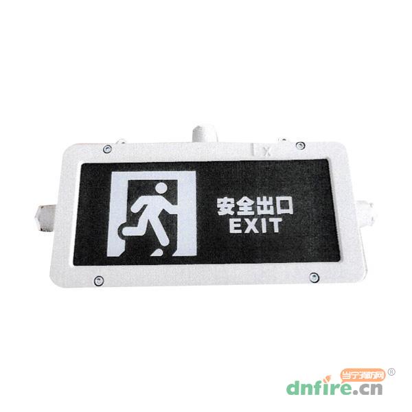 ZC-BLJC-1LRXOEⅠ1W-A2EX集中電源集中控制型消防應(yīng)急標(biāo)志燈具,中川電氣,消防應(yīng)急照明燈
