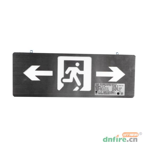 LD-BLJC-2LREII1W-D3006A集中電源集中控制型消防應(yīng)急標(biāo)志燈具,利達(dá)消防,消防應(yīng)急疏散指示燈