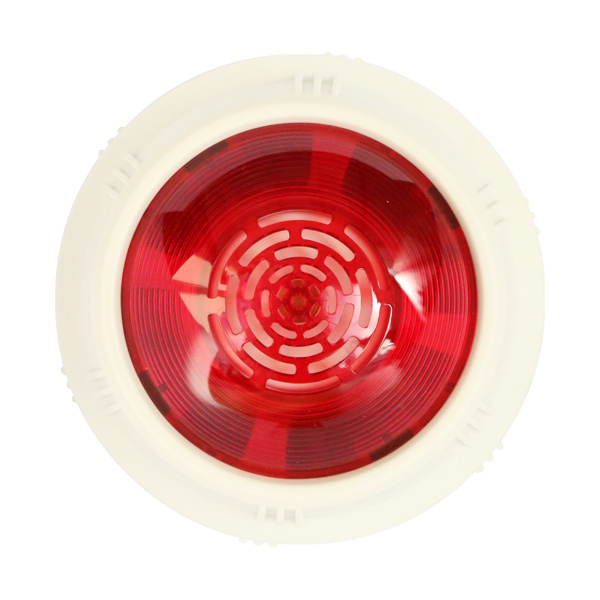 JBF5176...