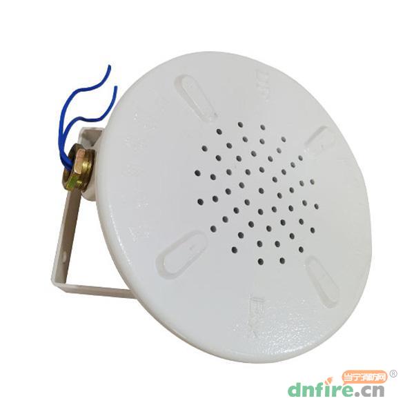 DFYS型防爆音箱 吊頂式,東方防爆,吸頂式