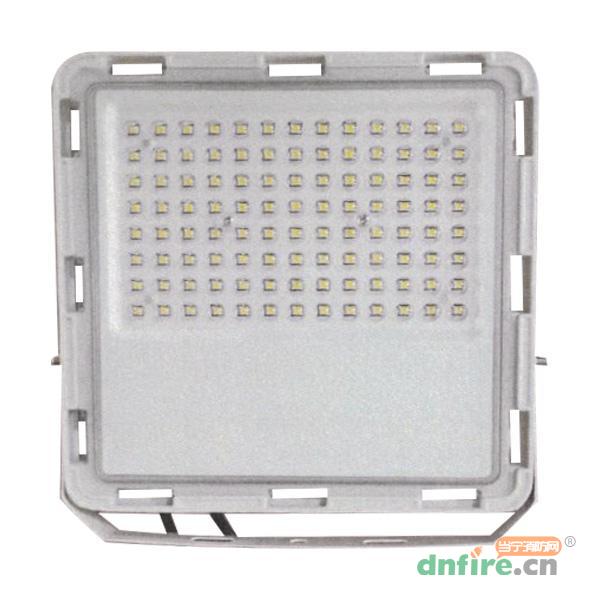 Z-ZLJC-E100W-B1653B集中電源集中控制型消防應(yīng)急照明燈具 B型投光燈 LG1653B 壁掛,樂工光電,消防應(yīng)急照明燈