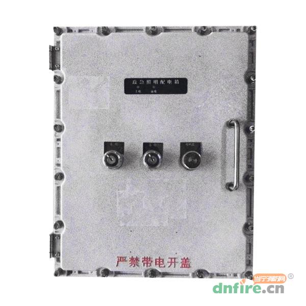 Z-PD-0.6KVA-2825B防爆應(yīng)急照明配電箱（壁掛）,樂(lè)工光電,應(yīng)急照明配電箱