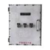 Z-PD-0.6KVA-2825B防爆應(yīng)急照明配電箱（壁掛）,樂(lè)工光電,應(yīng)急照明配電箱