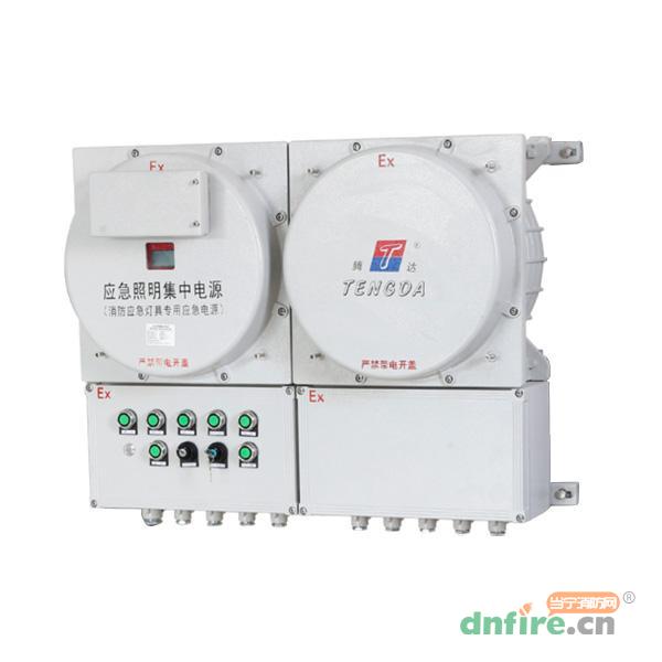 TD-D-1KVA-EX-BXM53應(yīng)急照明集中電源 防爆 A型,騰達防爆,應(yīng)急照明集中電源