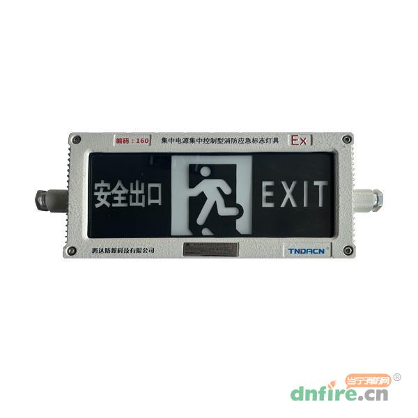 TD-BLJC-1LROEⅠ1W-EX-BYY防爆型消防應(yīng)急標(biāo)志燈具 集電集控,騰達(dá)防爆,消防應(yīng)急疏散指示燈