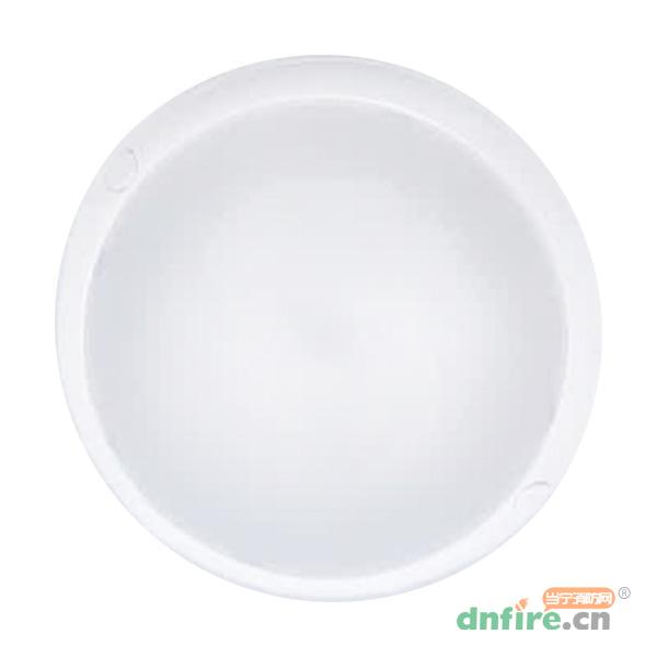 JT-ZFJC-E9W-S08-09-B集中電源集中控制型消防應(yīng)急照明燈具 吸頂,嘉泰智慧,消防應(yīng)急照明燈