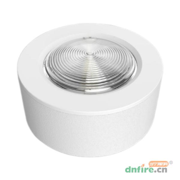 HZ-ZFJC-E1.5W-6120集中電源集中控制型消防應(yīng)急照明燈具 吸頂,恒生智能,消防應(yīng)急照明燈