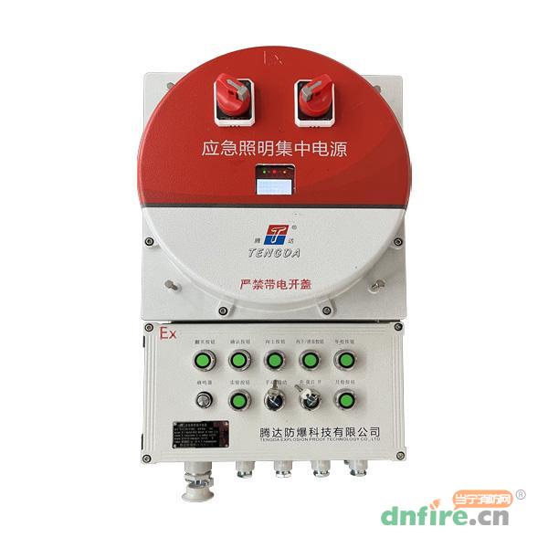 TD-D-0.3KVA-Ex-BXM53應(yīng)急照明集中電源 防爆型,騰達(dá)防爆,應(yīng)急照明集中電源