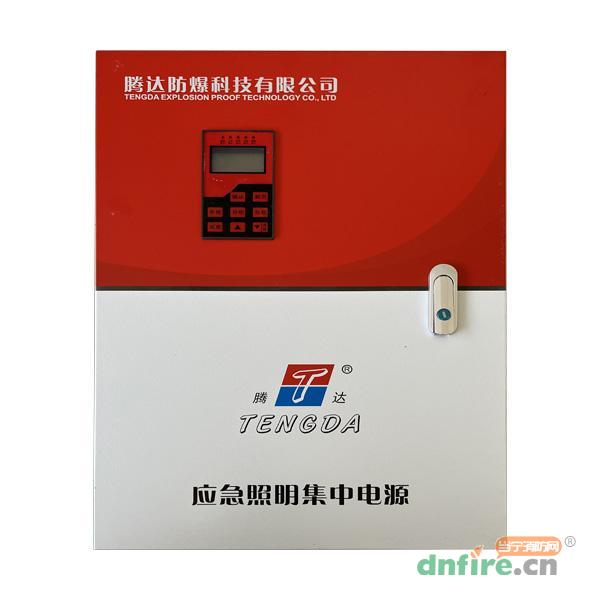 TD-D-0.6KVA集中電源集中控制型應(yīng)急照明集中電源（A型）,騰達(dá)防爆,應(yīng)急照明集中電源