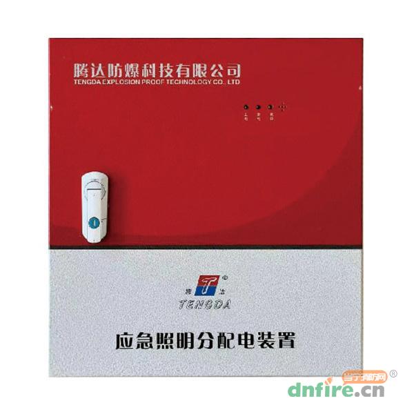 TD-FP-0.3KVA集中電源集中控制型應(yīng)急照明分配電裝置（A型）,騰達防爆,應(yīng)急照明配電箱