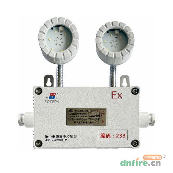 TD-ZFJC-E3W-EX-TDJ51防爆型集中控制型消防應(yīng)急照明燈具（A型）,騰達(dá)防爆,消防應(yīng)急照明燈