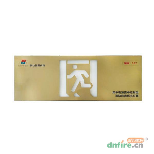 TD-BLJC-1LROEⅢ2W集中電源集中控制型消防應(yīng)急標(biāo)志燈具（A型）IP30,騰達防爆,消防應(yīng)急疏散指示燈