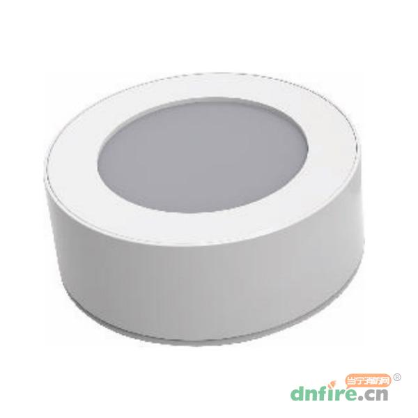 TD-ZFJC-E10W-L22集中電源集中控制型消防應(yīng)急照明燈具（A型）吸頂式,騰達(dá)防爆,消防應(yīng)急照明燈