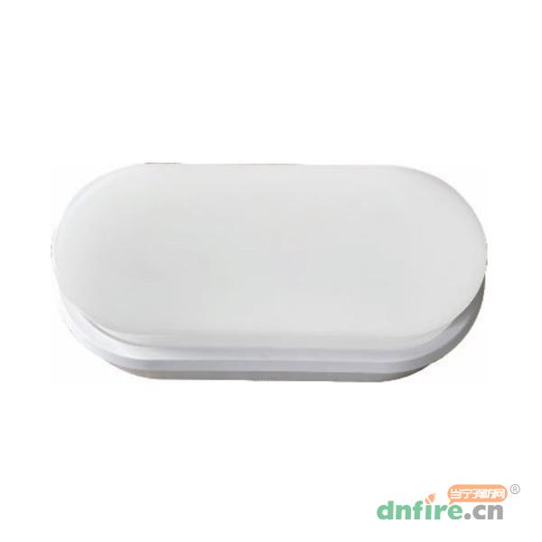 TD-ZFJC-E6W-L22BSF集中電源集中控制型消防應(yīng)急照明燈具（A型）IP65,騰達(dá)防爆,消防應(yīng)急照明燈