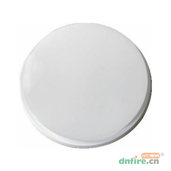 TD-ZFJC-E15W-TSF集中電源集中控制型消防應(yīng)急照明燈具（A型）IP65,騰達(dá)防爆,消防應(yīng)急照明燈