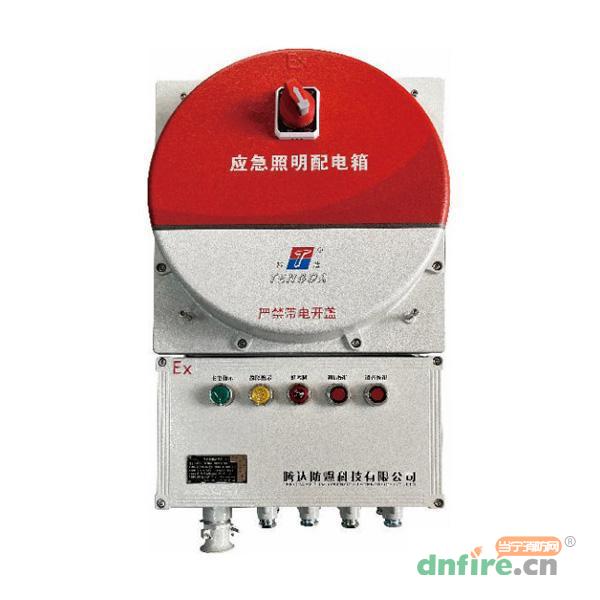 TD-PD-1KVA-Ex-BXM53自帶電源集中控制型應急照明配電箱(A型),騰達防爆,應急照明配電箱