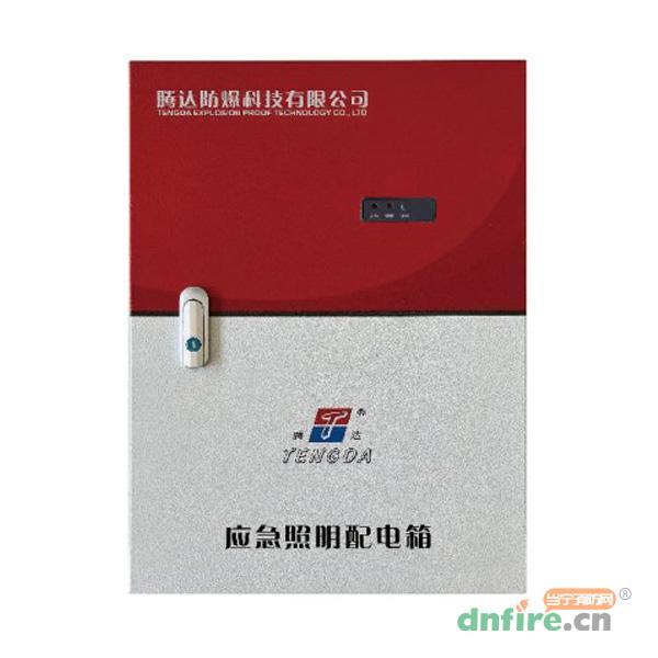 TD-PD-0.6KVA自帶電源集中控制型應(yīng)急照明配電箱（A型）,騰達(dá)防爆,應(yīng)急照明配電箱