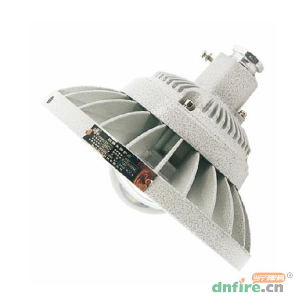 TD-ZFZC-E10W-Ex-ccd96自帶電源集中控制型應(yīng)急照明燈具（A型）防爆型,騰達(dá)防爆,消防應(yīng)急照明燈