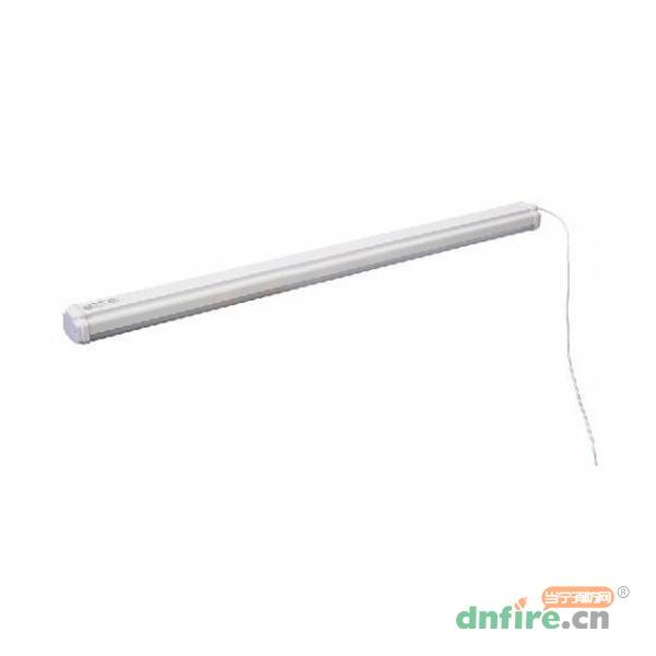 TD-ZFZC-E10W-SF-FAY自帶電源集中控制型應(yīng)急照明燈具（A型）三防燈,騰達(dá)防爆,消防應(yīng)急照明燈