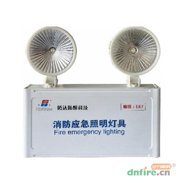 TD-ZFZC-E6W自帶電源集中控制型消防應急照明燈具（A型）,騰達防爆,消防應急照明燈