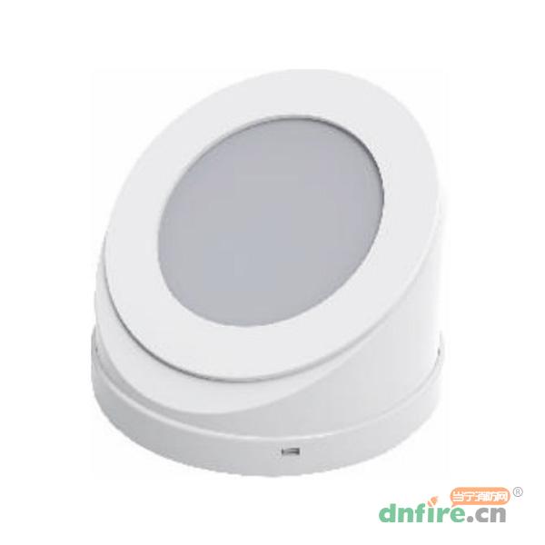 TD-ZFZC-E10W-L22自帶電源集中控制型消防應急照明燈具（A型）壁掛式,騰達防爆,消防應急照明燈