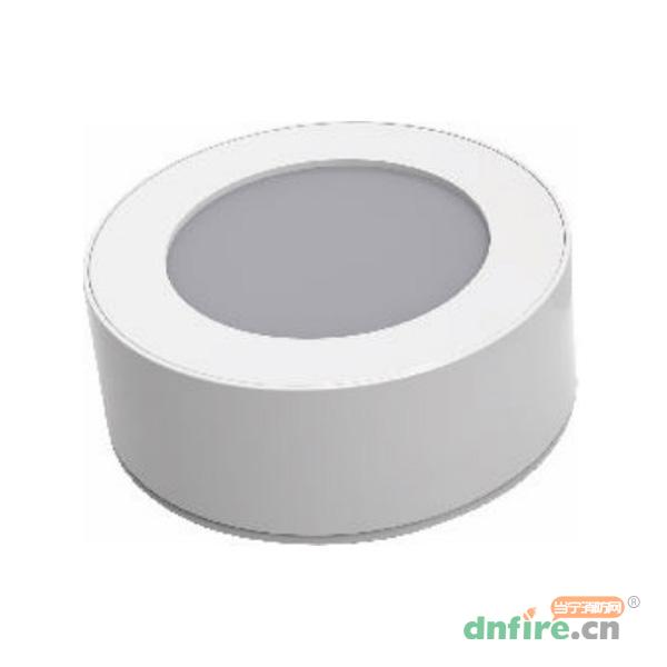 TD-ZFZC-E6W-L20自帶電源集中控制型消防應(yīng)急照明燈具（A型）吸頂式,騰達(dá)防爆,消防應(yīng)急照明燈