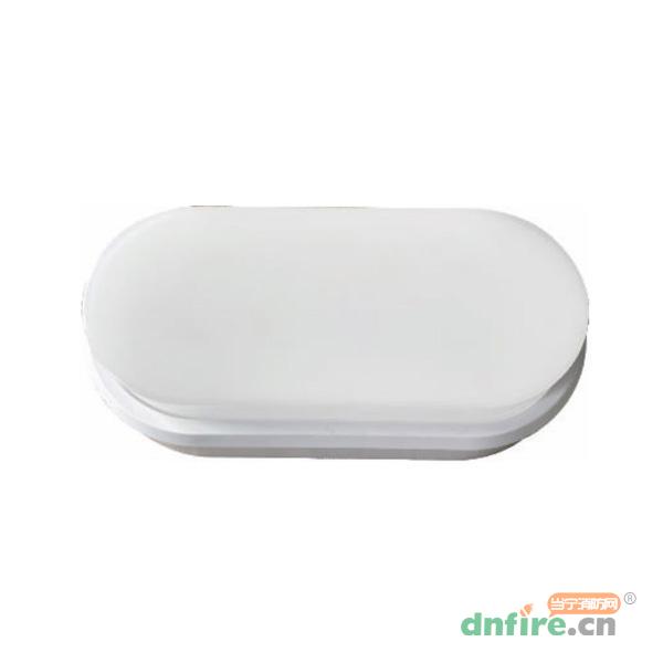 TD-ZFZC-E10W-L22BSF自帶電源集中控制型應(yīng)急照明燈具（A型）三防燈,騰達(dá)防爆,消防應(yīng)急照明燈