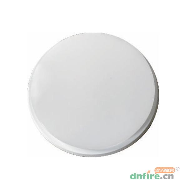TD-ZFZC-E10W-L22YSF自帶電源集中控制型應(yīng)急照明燈具（A型）三防燈,騰達(dá)防爆,消防應(yīng)急照明燈