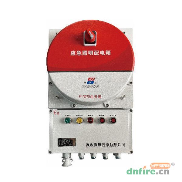 TD-PD-0.3KVA-Ex-BXM53自帶電源非集中控制型應(yīng)急照明配電箱,騰達(dá)防爆,應(yīng)急照明配電箱