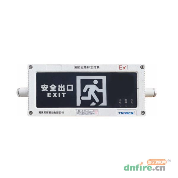 TD-BLZD-1LROEⅠ4W-Ex-BYY自帶電源非集中控制消防應(yīng)急標(biāo)志燈具,騰達(dá)防爆,消防應(yīng)急疏散指示燈