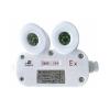 TD-ZFZC-E6W-SF-TDJ51自帶電源集中控制型應(yīng)急照明燈具（A型）三防燈,騰達(dá)防爆,消防應(yīng)急照明燈