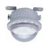 TD-ZFZC-E20W-SF-ccd96自帶電源集中控制型應(yīng)急照明燈具（A型）三防燈,騰達防爆,消防應(yīng)急照明燈