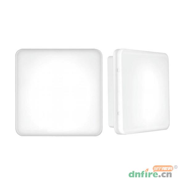 JY-ZFZC-E15W-1215自帶電源集中控制型消防應(yīng)急照明燈具,錦億照明,消防應(yīng)急照明燈