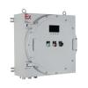 JY-D-0.6KVA-D0602防爆型應(yīng)急照明集中電源,,