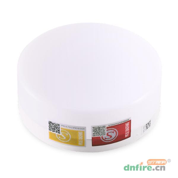 DJ-ZLJC-E4W-05N集中電源集中控制型消防應(yīng)急照明燈具 明裝吸頂,東君,消防應(yīng)急照明燈