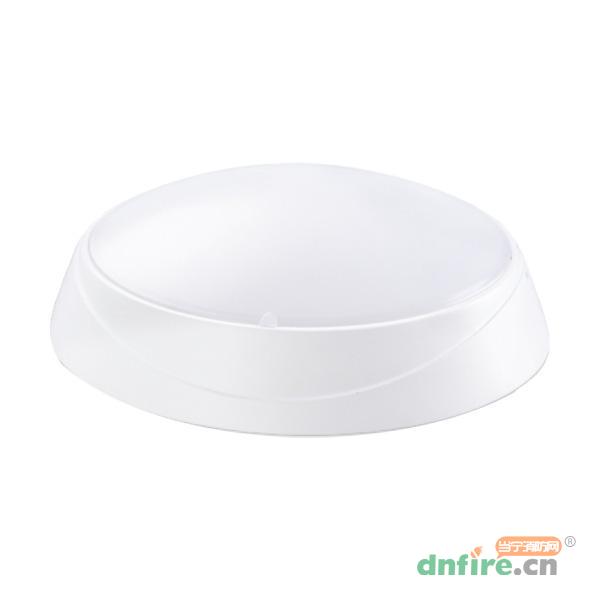 Z-ZFJC-E8W-1225A1集中電源集中控制型消防應(yīng)急照明燈具,樂工光電,消防應(yīng)急照明燈