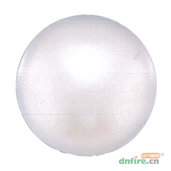 J-ZFJC-E6W-17X7LA集中電源集中控制型消防應(yīng)急照明燈具,青鳥消防,消防應(yīng)急照明燈