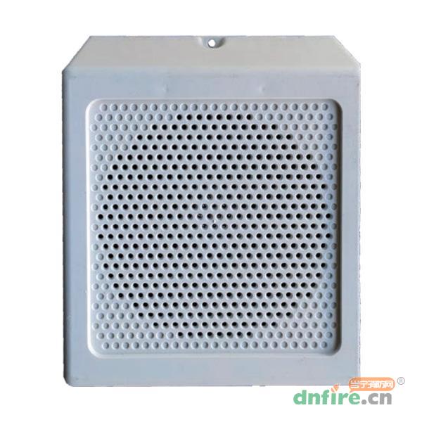 N-WM03W壁掛揚聲器